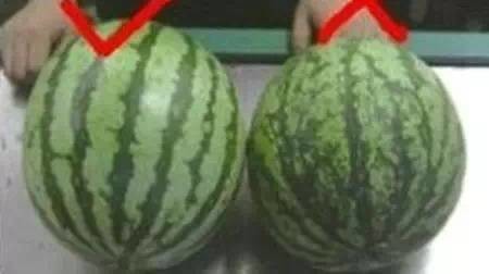 4680085266804459982.jpg