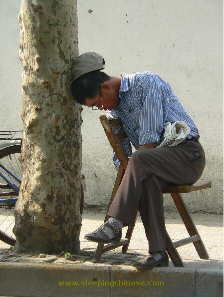 什么叫做因地制宜 4627243888724717899.jpg