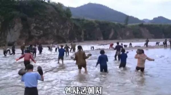 朝鲜人口暴增(3)