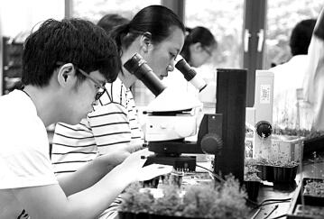 创新需要正确的思维方法