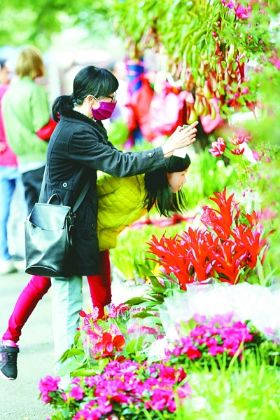 未来五年，中国旅游业会咋样