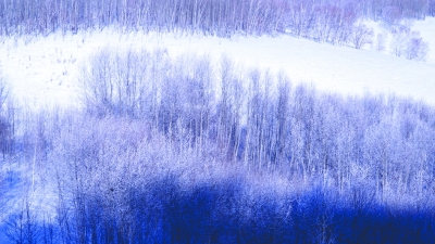 冰雪那达慕的草原交响