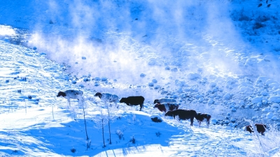 冰雪那达慕的草原交响