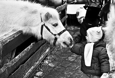 孩子与马
