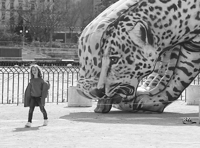 世界水日：“饮水的美洲豹”现身日内瓦