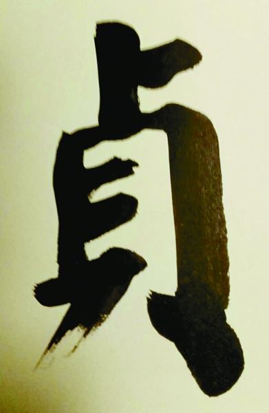 颜海拾贝