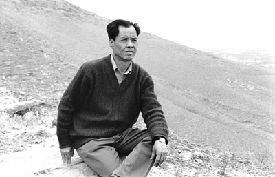 走进历史的陈忠实