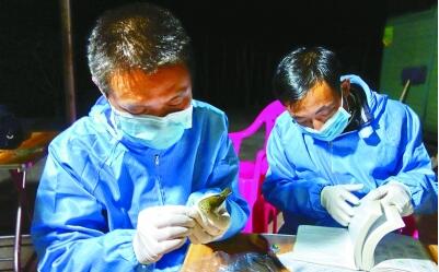 爱护鸟儿，就给它戴上环志吧