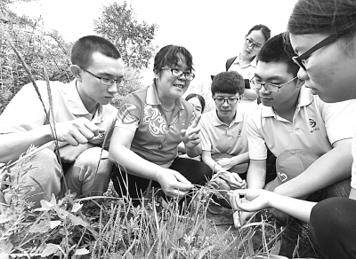 社会实践：从学校走向社会的过渡