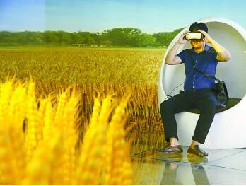 河南温县小麦博物馆用VR设备展示农耕文明