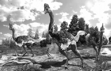 赣州发现新窃蛋龙类化石 命名为杰氏冠盗龙