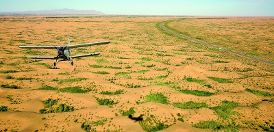 从库布其模式看沙漠治理如何构建“共享模式”