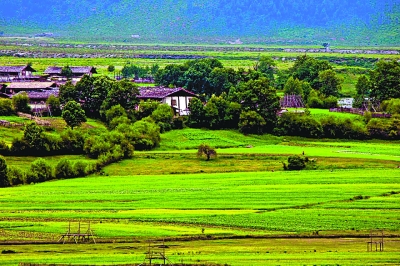 乡村旅游如何提质升级
