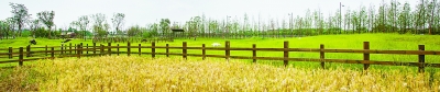 田园综合体：用创意点亮美丽乡村