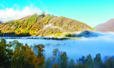 美不胜收的新疆布尔津县秋日山林