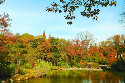 湖北省襄阳市古隆中风景区如画般美丽