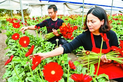 【领航新征程】脚踏实地为创造美好生活奋发作为