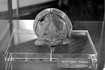 胡承志与“北京人”化石