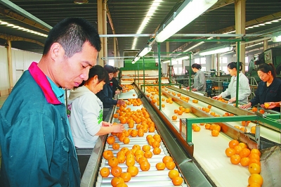 白菊花尖下的富美嬗变——浙江省常山县脱贫攻坚见闻