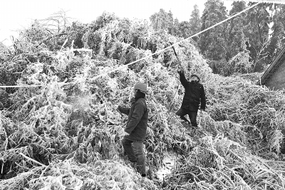 抗击南方冰雪的保卫战
