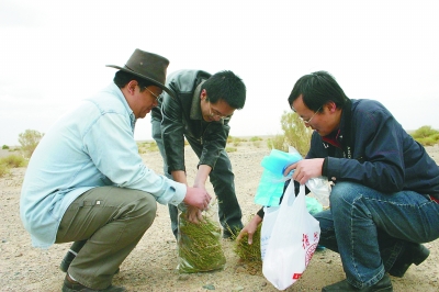 钟扬：追梦的脚步永不停歇