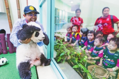 大熊猫——联结中外人民感情的纽带