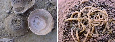 四千年前的那碗面条至今飘香