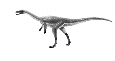 科学家解开阿尔瓦雷斯龙类恐龙手指消失之谜
