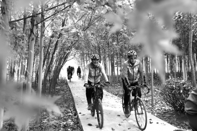 河北霸州：秋日骑行 看景赏秋