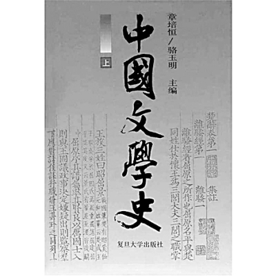 “大文学”与“小历史”——20世纪中国文学史书写的错位与困境