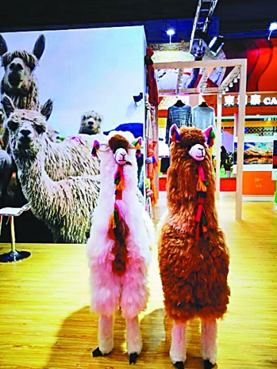 秘鲁国家展：羊驼既卖萌又卖绒