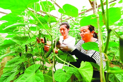 着力提高新时代党的建设质量