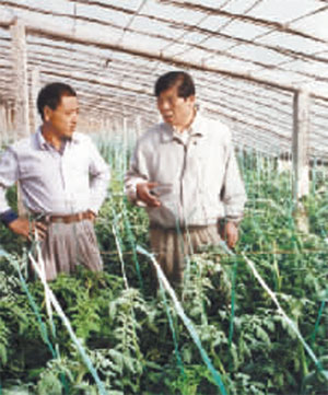 王伯祥：山东寿光蔬菜产业的推动者