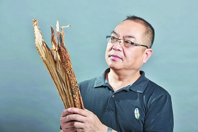 吴涛林与他的竹壳雕