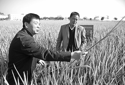 筑牢民族伟大复兴的人才之基——2018年中国人才事业发展年度报告