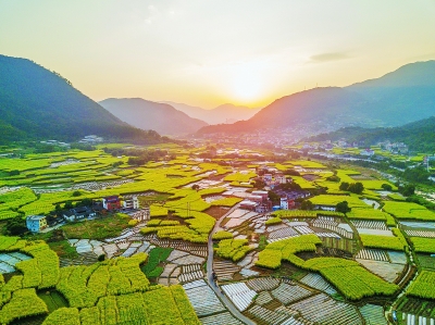[四季中国]田园风光（图）