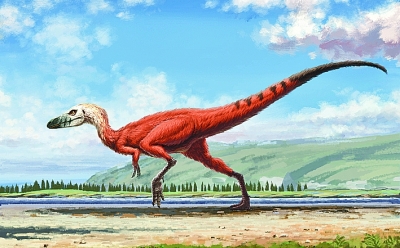 古生物学家发现世上最袖珍恐龙足迹化石