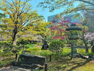 反省、顿悟、感知的静思之地——精致而独特的日本园林