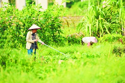 “绿水青山就是金山银山”的海南实践