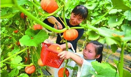 生态农业助力乡村振兴