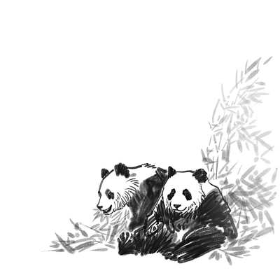 夹金山：大熊猫从这里走向世界