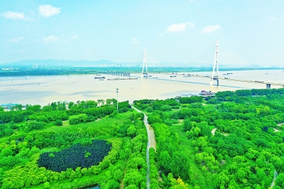 南京三桥湿地公园