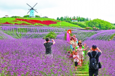 贵州桐梓：乡村旅游助增收