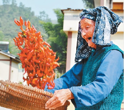 根植传统 肩负当代——写在中国农民丰收节周岁之际