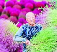 沉甸甸的收获 甜蜜蜜的幸福——庆祝中华人民共和国成立70周年大型成就展