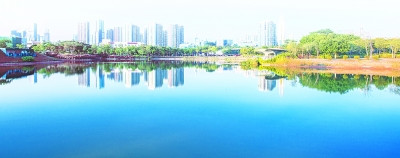 深圳福田区：将生态文明建设做成“精细活”