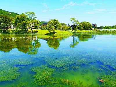 下渚湖街道的“治水经”