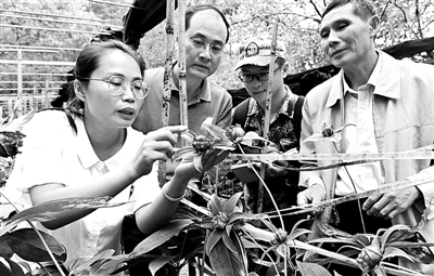 科技特派员：点石成金二十年
