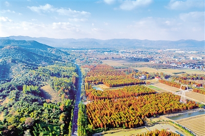 浙江水口村初冬美如画