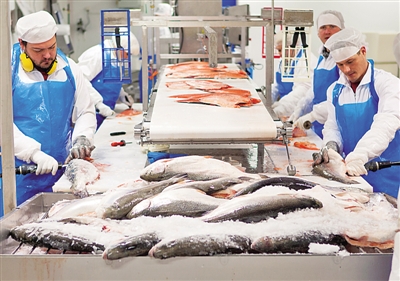 芬兰最大渔业公司瞄准中国巨大市场